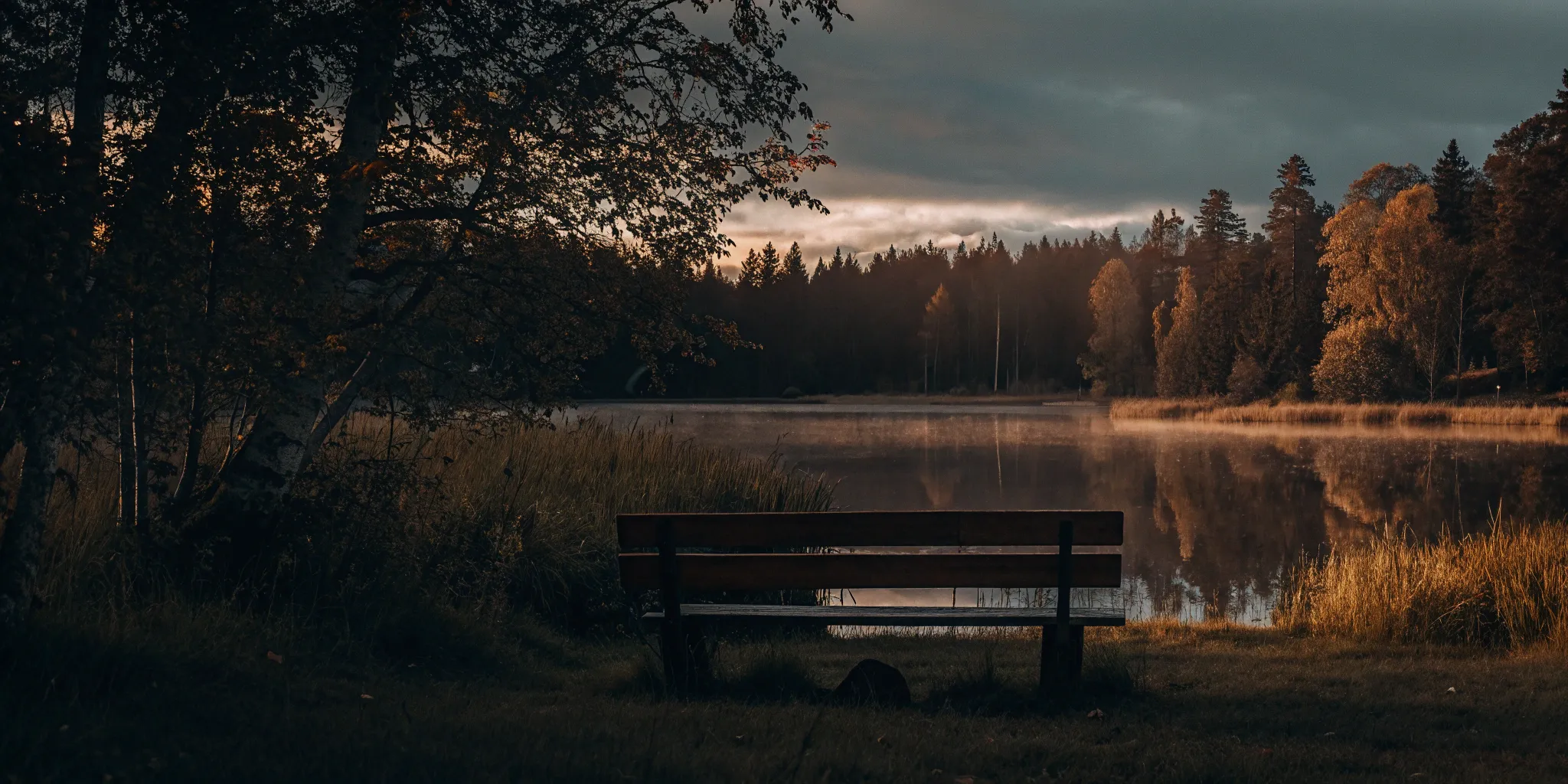 Calm lakeside bench at sunset.