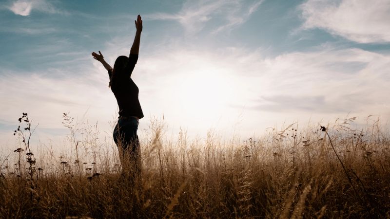 Young happy woman in a golden field on sunset