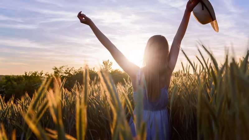 Beautiful young woman in a wheat field