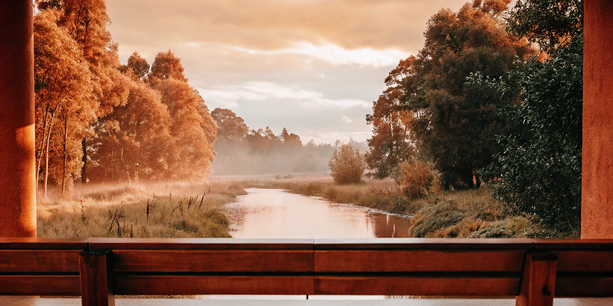 Calm autumn scene. Psychiatrist for anxiety and depression.