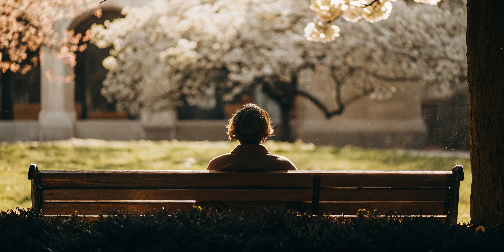 A person on a park bench with blooming trees, a hopeful look at life before and after TMS.