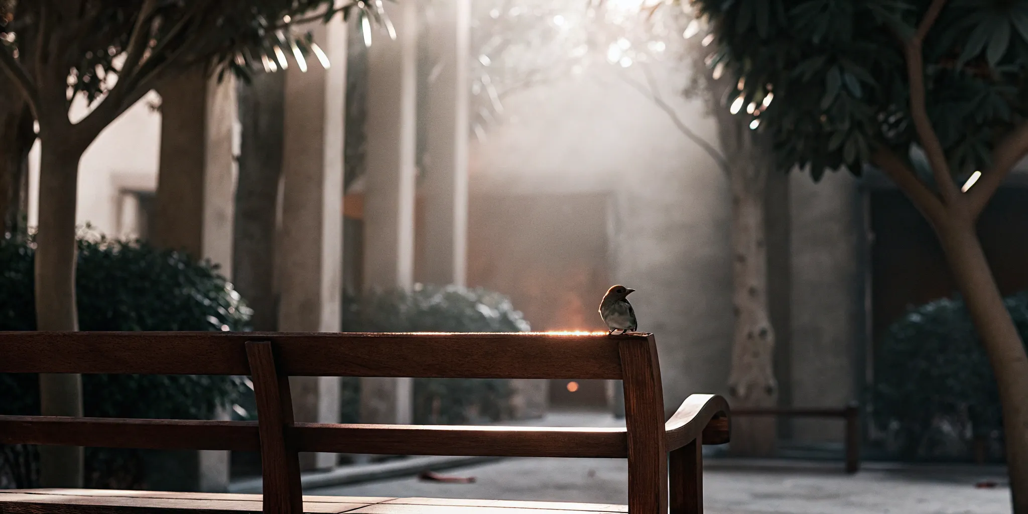 A bird on a bench, one of the best treatments for depression without medication.