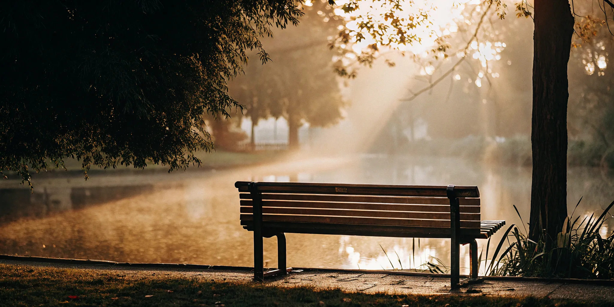 A quiet park bench by a lake, a calm space to understand the symptoms of an anxiety attack.