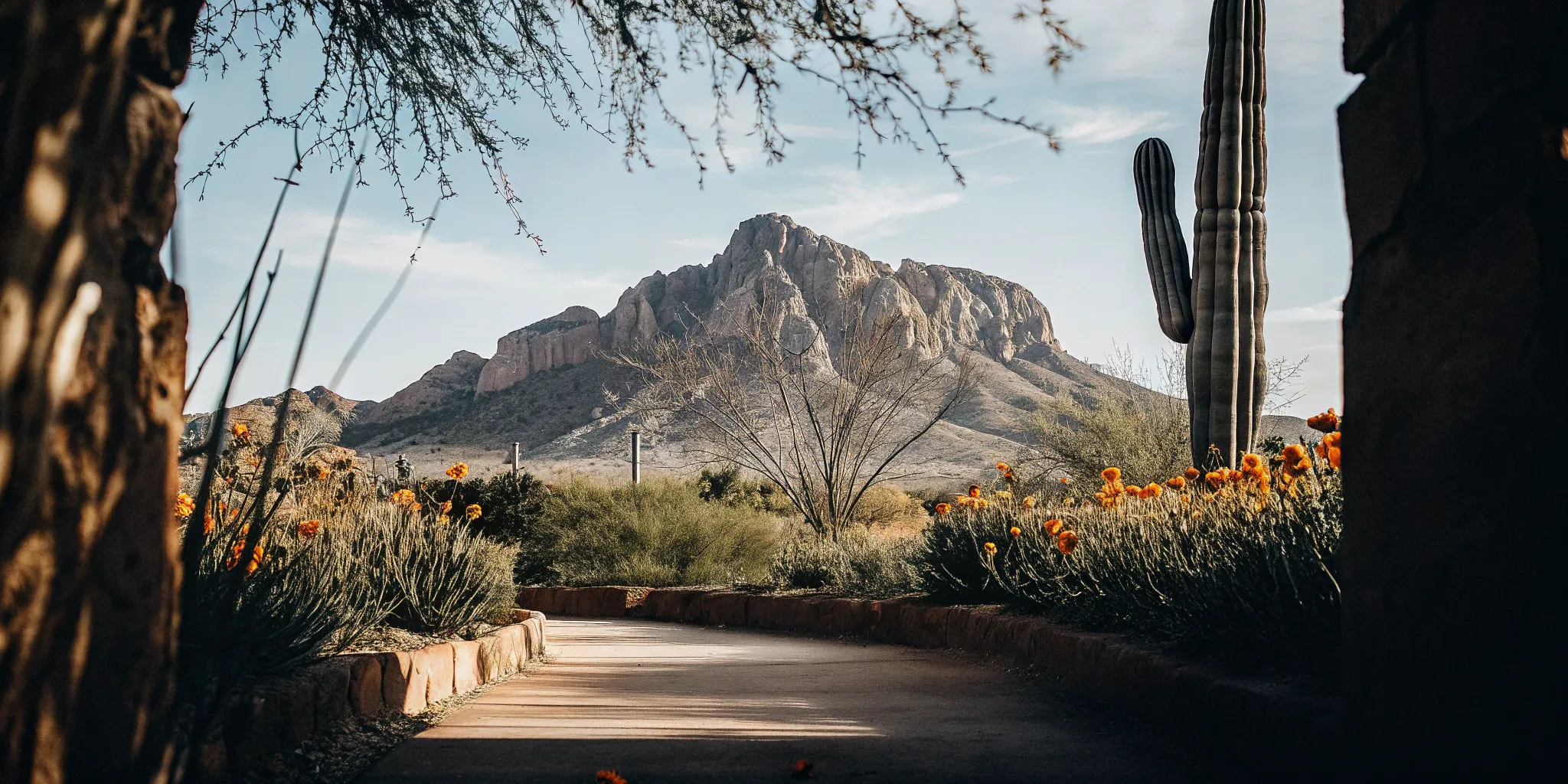 A clear path in Arizona for finding an anxiety and depression psychiatrist.