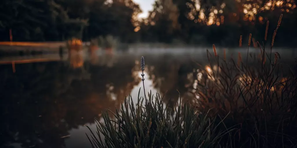 A calm lake at sunset, a serene image for the best non-medication treatment for anxiety.