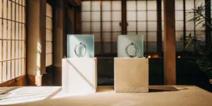 Two objects side-by-side comparing the success rate of TMS vs ECT.