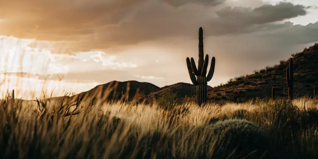 A peaceful Scottsdale, AZ desert sunset for TMS anxiety treatment.